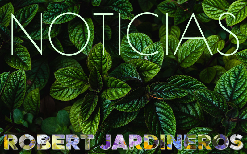 Robert Jardineros - noticias y actualidad